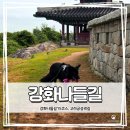 송해면-5 | 반려견과 함께한 강화도 트레킹🚶‍♀️ 강화도 도보여행 | 고려궁 성곽길 15코스 솔직 후기(주차 정보 + 꿀팁)