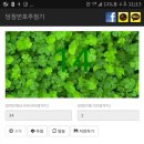 박은영농장 이미지