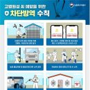 N-1 이미지