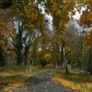 (주)플로우게임즈 이미지