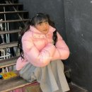 핑크팜 이미지