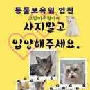 동물보육원 고양이 후원 카페 이미지