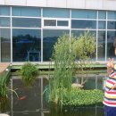 인삼랜드 휴게소(하) 이미지