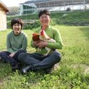 안고농장 이미지