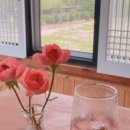 카페힐(CAFE HEAL) 이미지