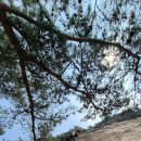 2026.06.11.오산슬랩.족두리봉(햇살님) 이미지