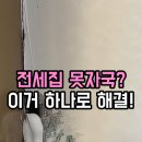전셋집 못자국 복원, 도배비 50만 원 아낀 인테리어 현장 벽보수제 솔직 후기!