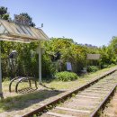 푸른수목원 이미지