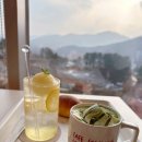 수동초교 | &lt;수동 뷰맛집 카페&gt; 솔몽 베이커리 카페 - 멋진 산뷰와 펫존. (내돈내산 후기)