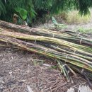 동남공예 이미지