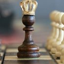 타로상담 이미지