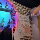 성비 | 제주시 혼술바 자유의지 2 남녀 성비, 솔직후기