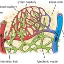 휘트니스 오름 이미지