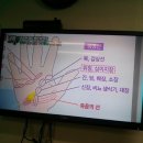 애니원효소다이어트 - 전주시 완산구 서신천변로 15-1 | 애니원효소다이어트