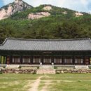 사람이소중한의원 이미지