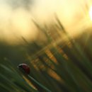 일상 : Playlist(플레이리스트) 이미지