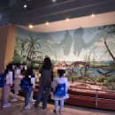 서대문자연사박물관 이미지