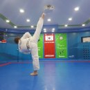 한국체대 호림태권도장 이미지