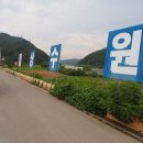 2013.7.15.포항상수원보호구역의 허상 이미지