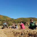 자연-이미지 이미지