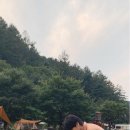 새벽