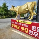 안성맞춤한우촌 이미지