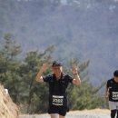 토지초등학교 | 2025 지리산 봄꽃 레이스(23.5km)