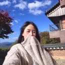 안국사 | 무주여행 가볼만한곳 : 안국사 화려한 단풍 후기