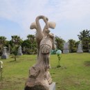 비체올린 이미지