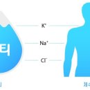 주식회사신진약품 | 링티 효과, 마시는 수액, 마시는 링거 종류, 가격, 부작용