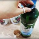 (주)이엠연구소
