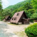 광치자연휴양림 | 푸른 자연 속 힐링의 성지, 양구 광치계곡자연휴양림 심층 분석