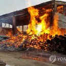 톱밥제조공장 이미지