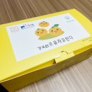 정선유통 | 제주 한라봉 타르트 정선 유자 오란다 후기