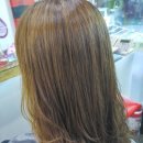 상남동242 이미지