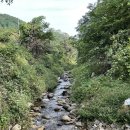수원산오토캠핑장 | [포천] 수원산오토캠핑장 2박 3일 이용 후기 및 사이트 소개!