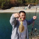남해펜션키마리스