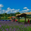 주차장 화장실 이미지