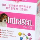 인트라젠 이미지