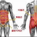 피트니스롬 이미지