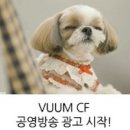 [ VUMM ] 붐펫밀리 1기 발대식 & 붐펫몰 방문 후기