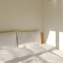 한림속 하루 이미지