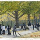 광시중학교 이미지