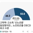 노인 빈곤율 OECD 최고 이미지