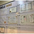 머슬마인드 이미지