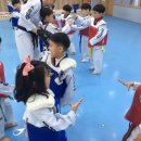 세종의 아침 태권도 이미지