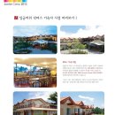 닥터스캠프 이미지