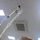 진영새싹병원 이미지