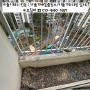 매수리 | 김포 마송리 마송휴먼시아매수리아파트 비둘기퇴치
