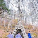 하늬마을나무 이미지